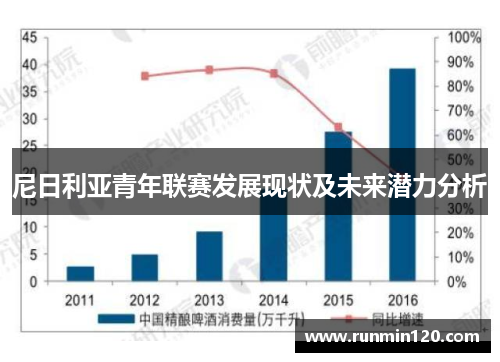 尼日利亚青年联赛发展现状及未来潜力分析