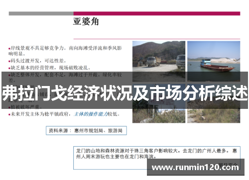 弗拉门戈经济状况及市场分析综述