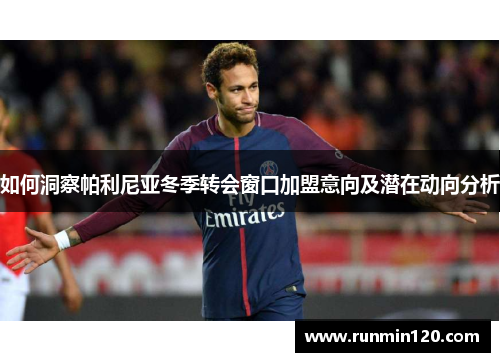 如何洞察帕利尼亚冬季转会窗口加盟意向及潜在动向分析