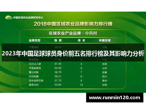 2023年中国足球球员身价前五名排行榜及其影响力分析