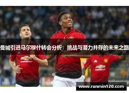 曼城引进马尔穆什转会分析：挑战与潜力并存的未来之路