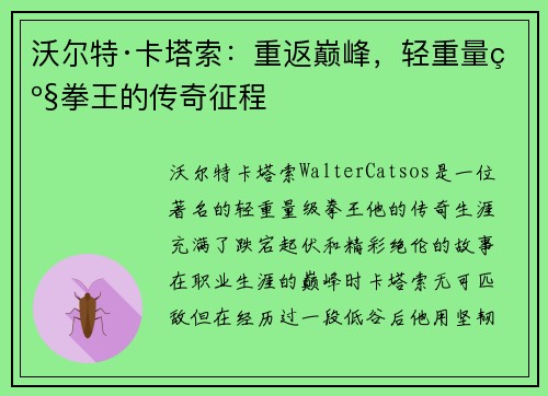 沃尔特·卡塔索：重返巅峰，轻重量级拳王的传奇征程
